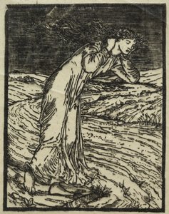  作： William Morris