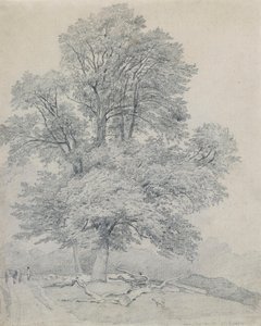  作： William Mulready