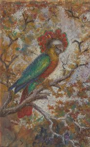 パロット、1909年 作： William N. Buckner