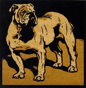 ウィリアム・ハイネマンが発行した「The Square Book of Animals」の英国のブルドッグ 作： William Nicholson