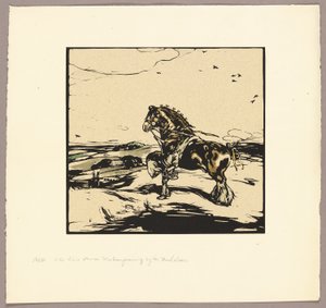 シャイアーホース 作： William Nicholson