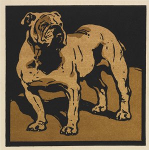 The Square Book of Animals: イギリスのブルドッグ 作： William Nicholson