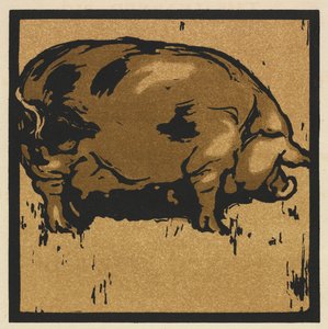 四角い動物の本: 学んだ豚