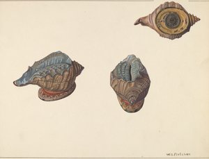 シェルアウト・バンク、1938年頃 作： William O. Fletcher