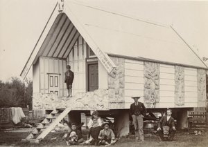 カエル、白、1900年頃（銀ゼラチンプリント） 作： William Partington