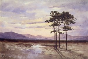 サンセット、カウンティ・スライゴ（水彩・紙） 作： William Percy French