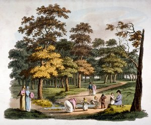 ロンドン、ウェストミンスターのハイド・パークにある「ディッピング」の井戸の眺め、1810年頃