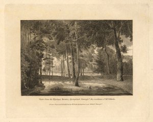 北米のアメリカ合衆国の郡庁所在地、プレート 20 枚セット、紹介文、表紙 2 枚 作： William Russell Birch