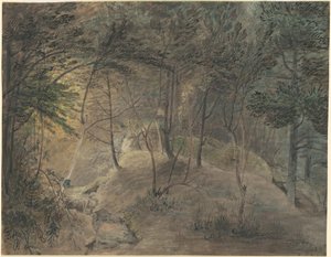 エコーのスプリングハウスからの眺め 作： William Russell Birch