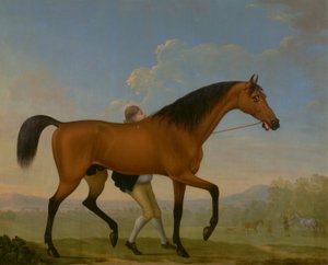 アンカスター湾公爵の種牡馬、ブランク、牝馬に向かって歩く 作： William Shaw