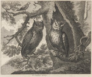 Kaksi pöllöä ja varpunen 作： William Skelton