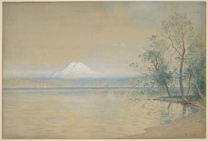  作： William Stanley Haseltine