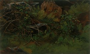 自然からの学び。 作： William Stanley Haseltine
