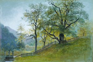 ブリクセン近郊のチロル地方のヴァールン。 作： William Stanley Haseltine
