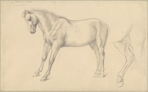 ポニーの研究 作： William Strutt