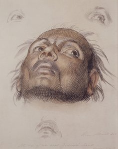 東インディアンの頭の研究、1875年頃（クレヨンと紙で洗う） 作： William Strutt