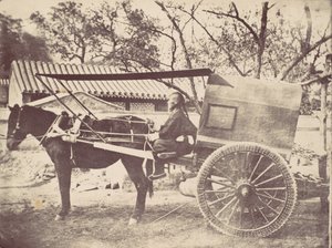ペキンカー、1867年
