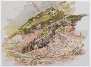  作： William Trost Richards