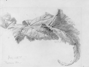  作： William Trost Richards