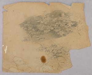 葉の研究 作： William Trost Richards