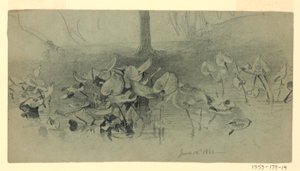 葉の研究 作： William Trost Richards