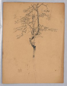 葉の研究 作： William Trost Richards