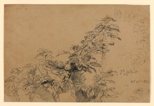 葉の研究 作： William Trost Richards