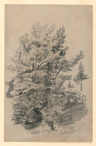 葉の研究 作： William Trost Richards