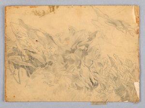 葉の研究 作： William Trost Richards