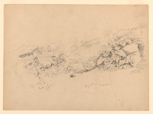 葉の研究、Trachselwald、ベルン、スイス 作： William Trost Richards
