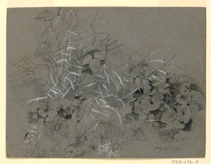 スミレの葉と草の研究 作： William Trost Richards