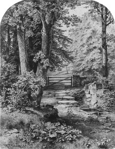  作： William Trost Richards