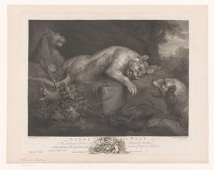 ドライ スペレンデ レーウェン 遊んでいるライオンズ (オブジェクトのタイトル) Schilderijen uit The Houghton Gallery (シリーズタイトル) ホートン・ギャラリー（シリーズタイトル） 作： William Walker
