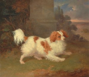 Um Spaniel de Blenheim 作： William Webb