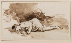 水仙（紙にペン、ブラシ、インク） 作： William Westall
