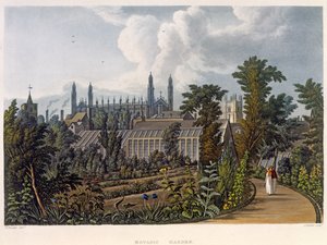 ジョセフコンスタンティンスタッドラー（fl.1780-1812）によって彫刻された「ケンブリッジの歴史」からのケンブリッジの植物園、パブ。 R.アッカーマン、1815年（アクアチント色）
