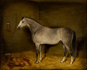 ルーズボックスに入ったアラブの馬、1860年頃（キャンバスに油彩）