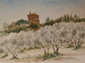 883 Pal Massaini、nr Pienza 作： Wilson Clive