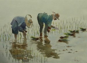 885植栽 作： Wilson Clive