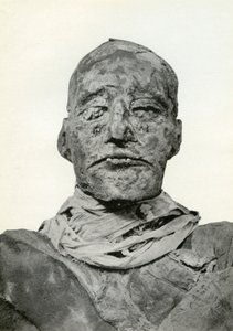 ラメセス3世のミイラの頭、第20王朝の古代エジプトのファラオ、紀元前1156年、紀元前1926年 作： Winifred Mabel Brunton