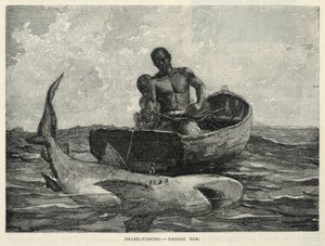 行商人、ナッソー・ゲートウェイ、サメ釣り--ナッソー・バー（『センチュリー』誌1887年2月号より