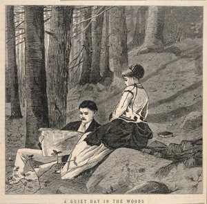 森の中の静かな一日（1870年6月25日付『アプレトンズ・ジャーナル・オブ・ライティング、サイエンス、アート』より