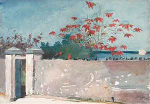 A Wall, Nassau, 1898年。 作： Winslow Homer