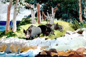 バミューダの入植者 作： Winslow Homer