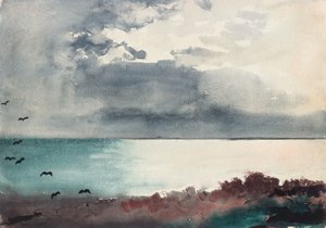 メイン州の海岸、ブレイキング ストーム 作： Winslow Homer