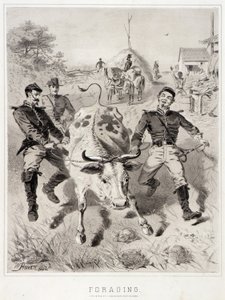 キャンペーンのスケッチ採集 作： Winslow Homer