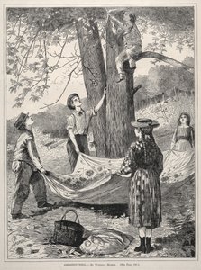 栗、1870。