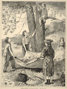 チェスナッティング、『毎週土曜日』より：1870年10月29日付『イラストレイテッド・ジャーナル・オブ・チョイス・リーディング』より 作： Winslow Homer