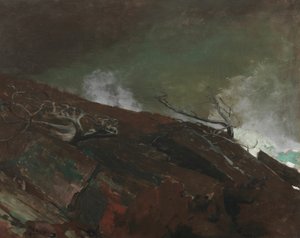 メインの海岸 作： Winslow Homer
