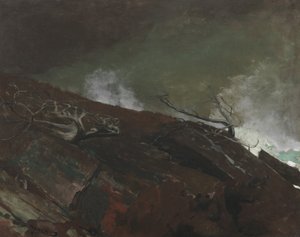 メイン州の海岸、1893 作： Winslow Homer